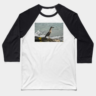 Black-crowned night heron of hawaii 8 Baseball T-Shirt